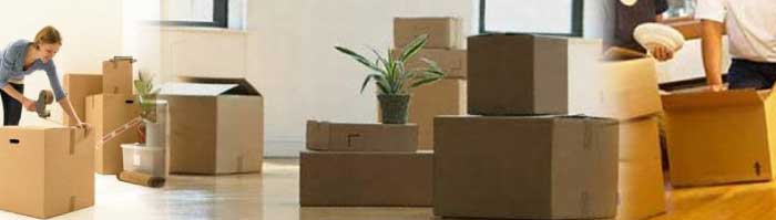 Packing and Moving Services